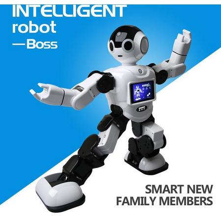 smart robot Intelligente Humanoid